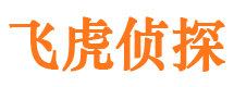 城口侦探社